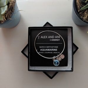 Alex and Ani Bangle